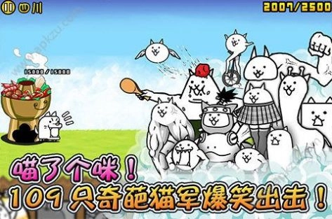 猫咪大战(3)