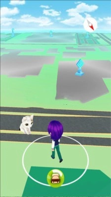 一起来抓猫手游免费版