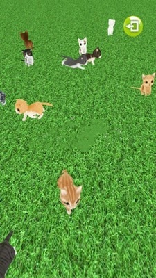 一起来抓猫手游免费版