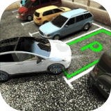 真实停车高手手游直装版