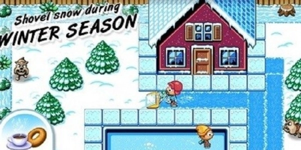 周日草坪季节(1)