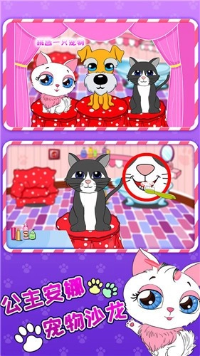 公主安娜宠物沙龙游戏官方最新版图2