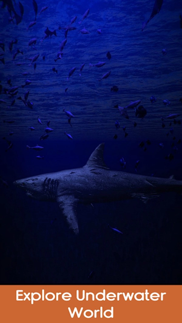 解压神器集合无广告版(2)