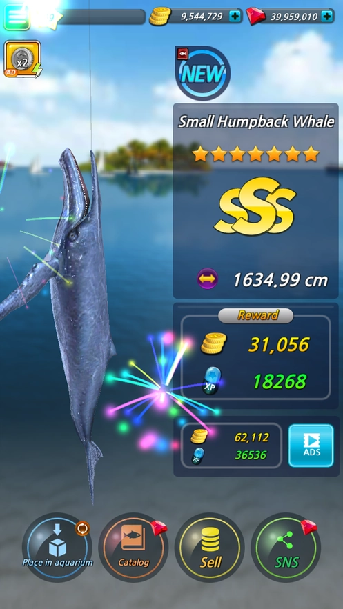 fishing season直装版(1)