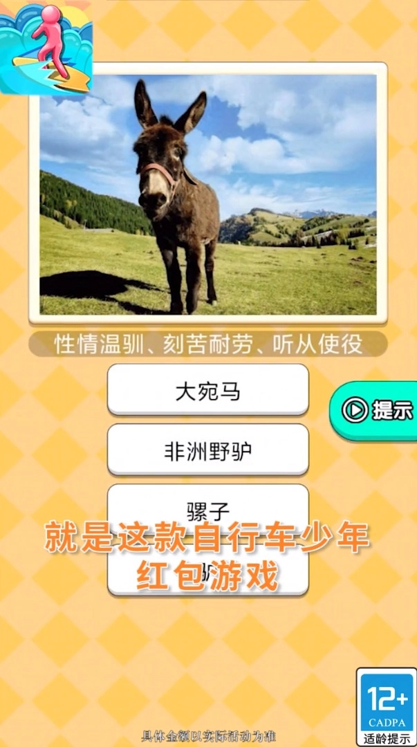 自行车少年安卓直装版(1)