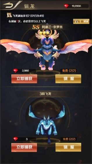 飞龙大战