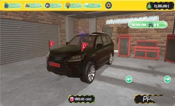 保护总统模拟器安装下载