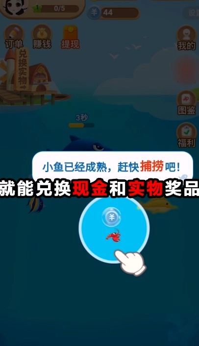 阿伦的鱼塘安卓免费版图1