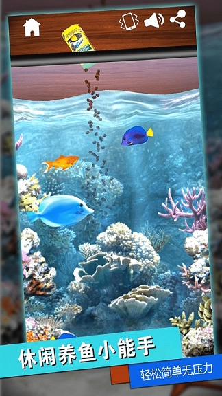 解压发泄盒子(3)