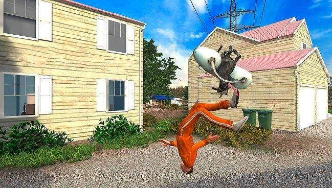 山羊3D模拟游戏安装包图2