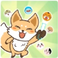 Puzzle Cutie正版