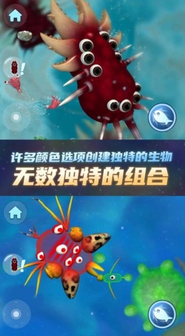 物种进化器(2)
