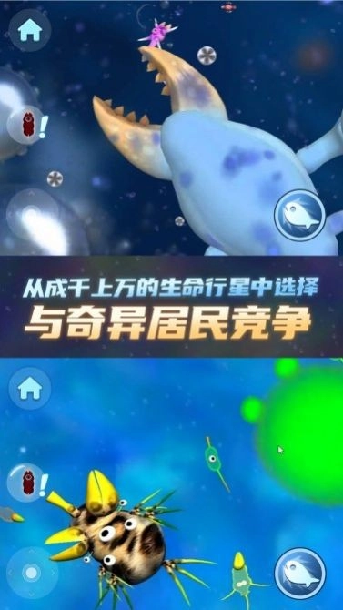 物种进化器(3)