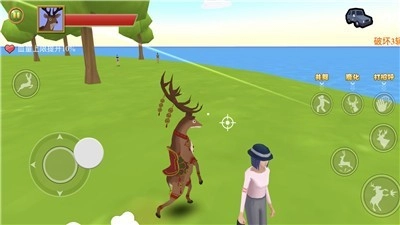 动物运动会手机最新版