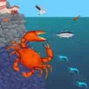 欢乐鱼塘手机版