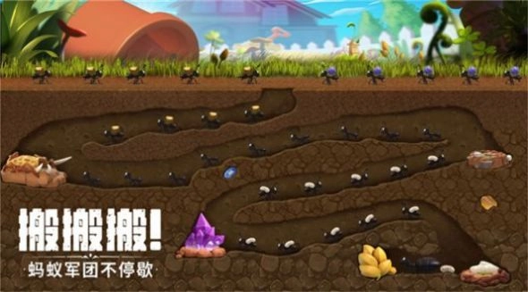 机智的小动物最新免费版