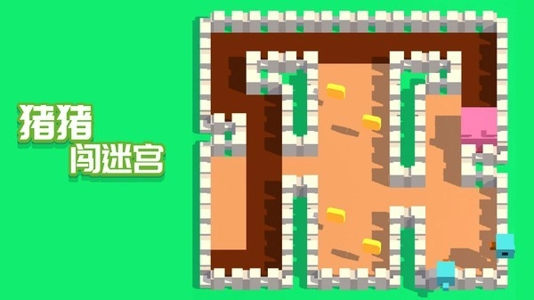 猪猪闯迷宫(3)