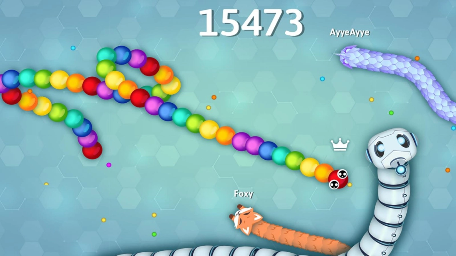 蛇蛇快变身安卓直装版(2)