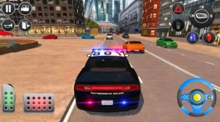 警察追捕模拟器