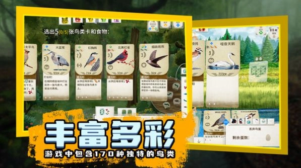鸟类观察家最新版(1)