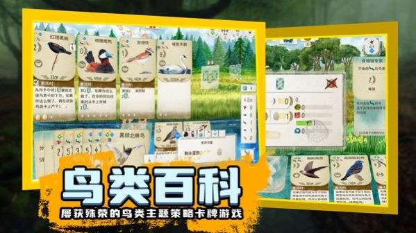 鸟类观察家最新版(2)