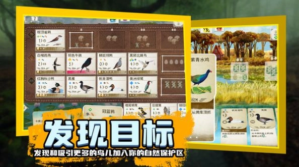 鸟类观察家最新版(3)