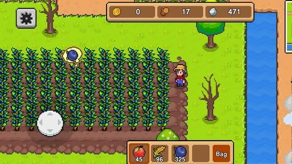 小镇农场生活(1)