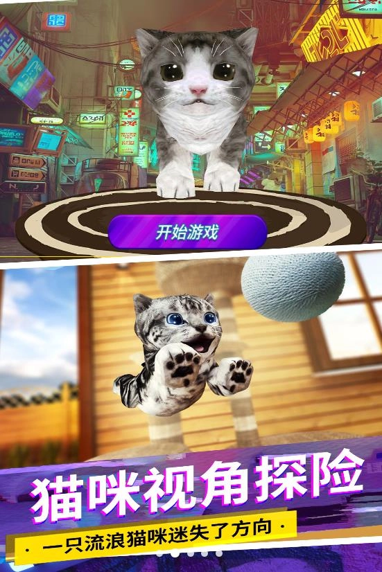 猫咪城市模拟手游免费版(2)