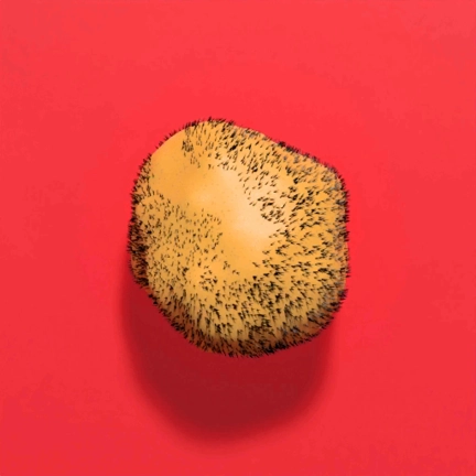 胡须土豆游戏无广告版