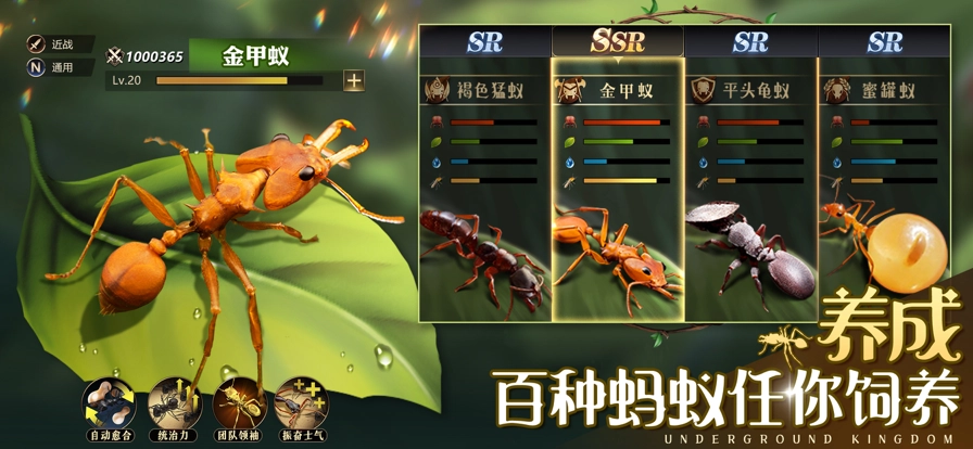 小小蚁国免费版图1