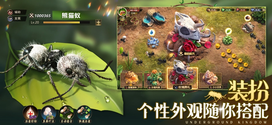 小小蚁国免费版图3