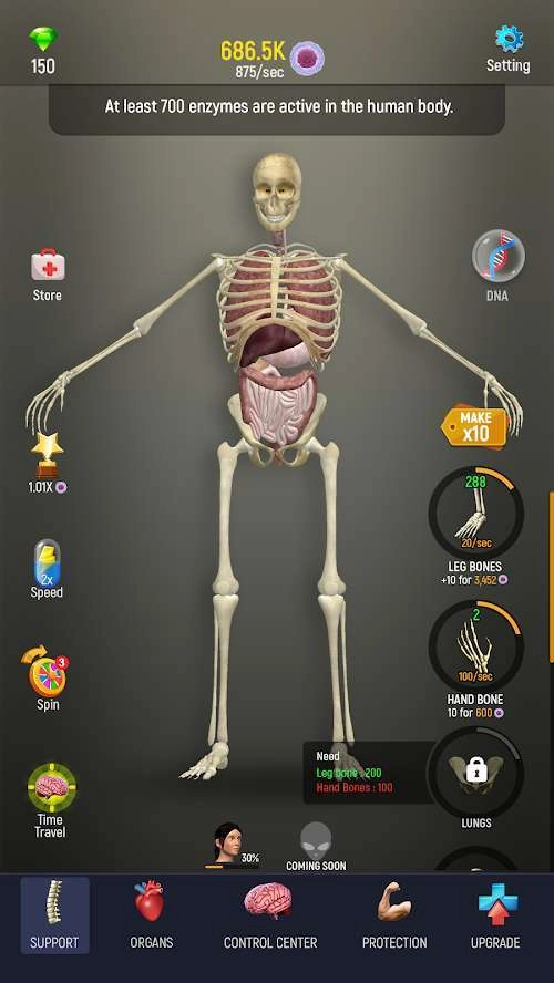 人体模型模拟器单机版下载