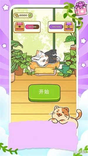 一起走猫步游戏纯净版图2