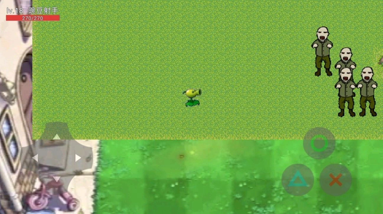 植物大战姜丝(3)