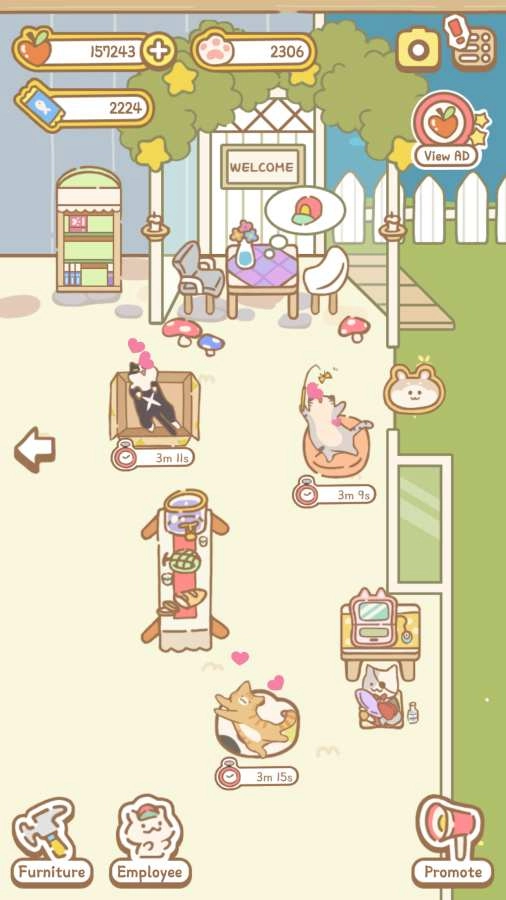 猫咪Spa(2)
