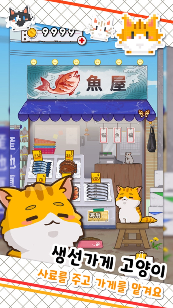 鱼店猫老板(3)