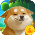 柴犬日记
