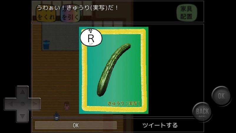 前卫的粪作扭蛋汉化版(1)