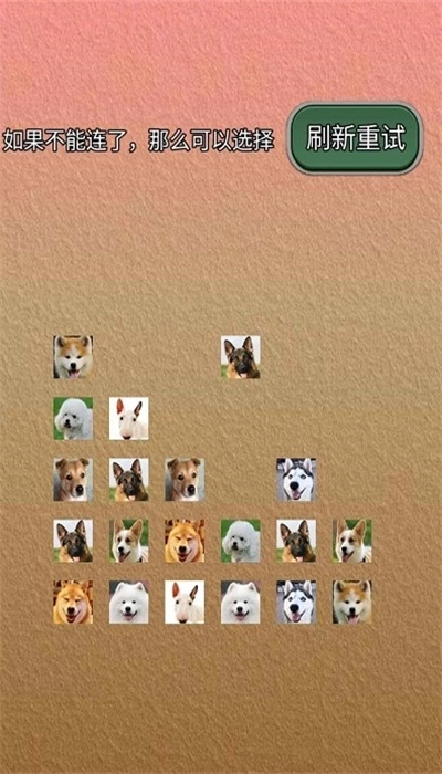 宠物连的快游戏绿色版图1