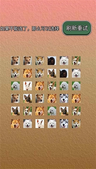 宠物连的快游戏绿色版图3