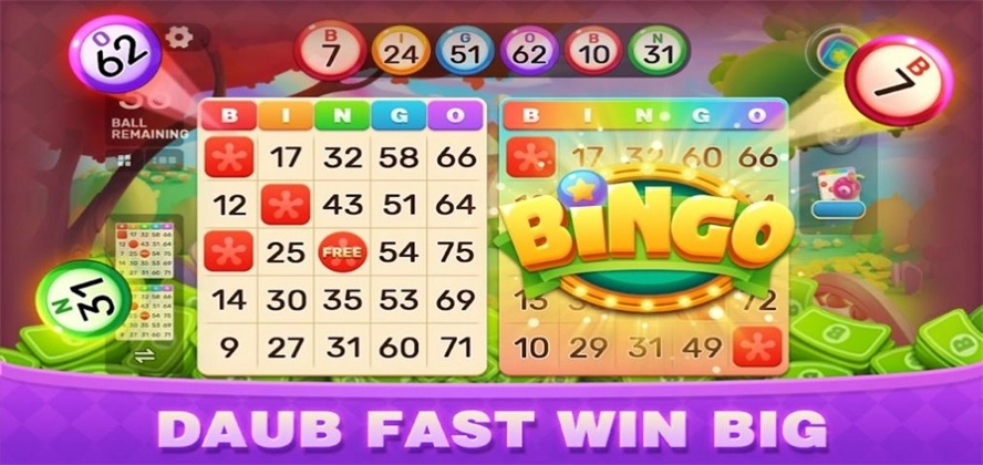 BingoParty安卓版图3