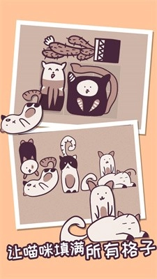 我的小猫贼好看安卓版图2