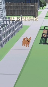 拆家萌宠图1