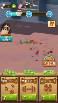 拆家萌宠图2