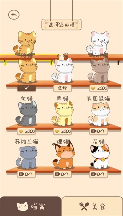 夏天的乐队安卓直装版图3