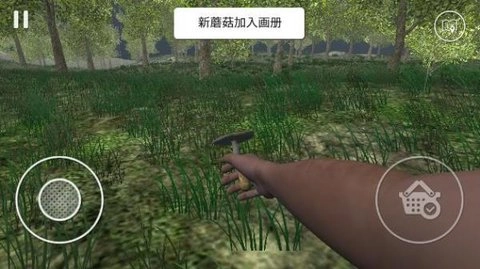 采蘑菇3