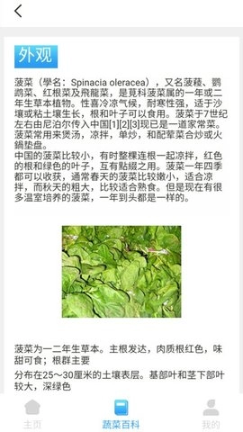 口袋菜农手机免费版