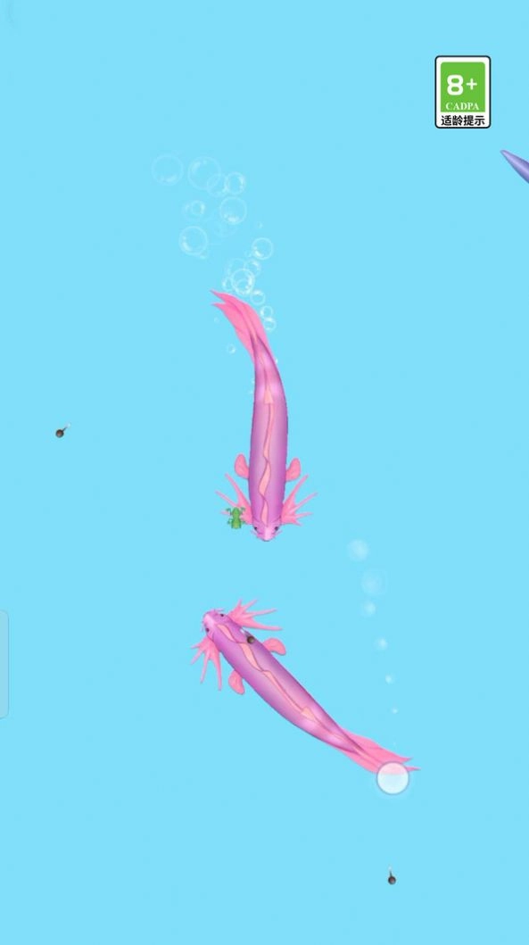 荷塘争霸 荷塘争霸