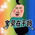 文字爆梗传直装版