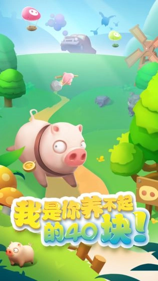 我的肉40块(1)